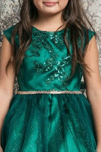 Romantic Peek Sleeve Girls Fancy Party Dress
