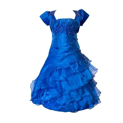 Fancy Flamingo Girls Formal Gown royal Front View Canada