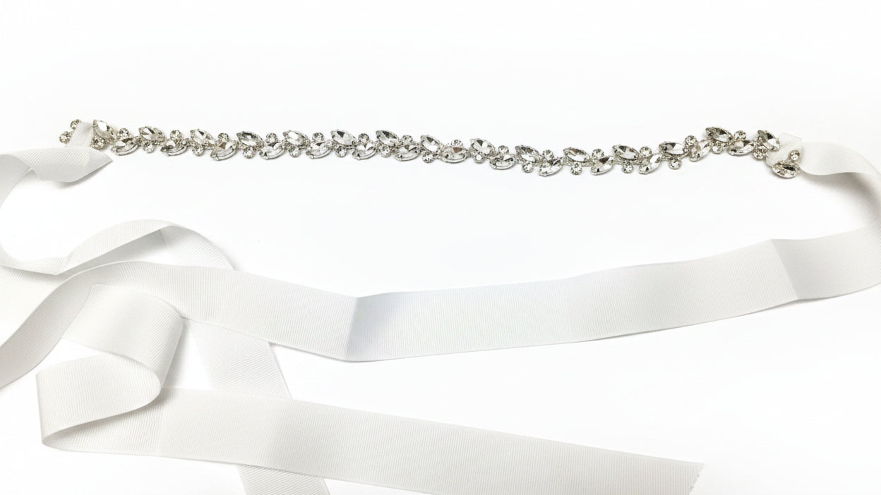 Fancy Rhinestone Belt & Ribbon