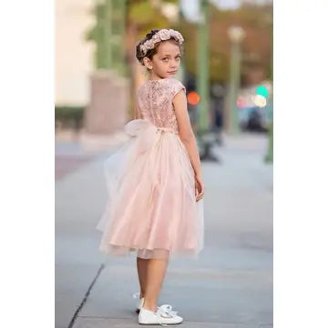 Pretty Girls Romantic Peek Sleeve Dress Poly Silk Tulle Tea Blush Side Length Canada