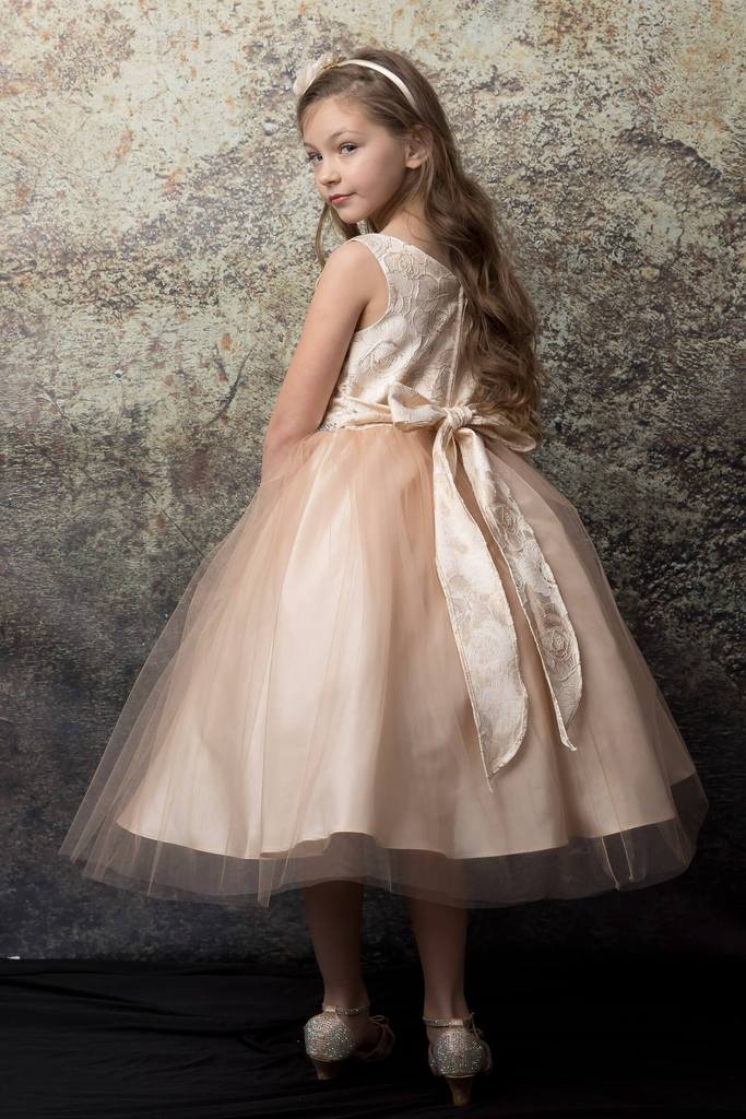 Pretty Rose Floral Brocade Girls Dress Champagne Back Live View 